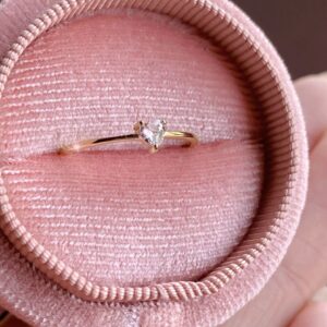 Anillo Holly